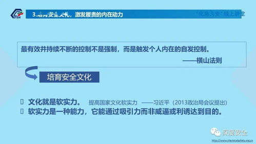 精品PPT 筑牢防線，共筑平安——互聯(lián)網(wǎng)安全服務(wù)機(jī)構(gòu)建立健全全員安全生產(chǎn)責(zé)任制指南